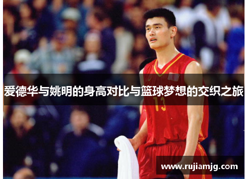 爱德华与姚明的身高对比与篮球梦想的交织之旅